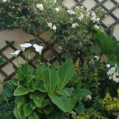 Vakantiehuis Jolie Maison Neuve - Malisone - Pont-Sainte-Maxence